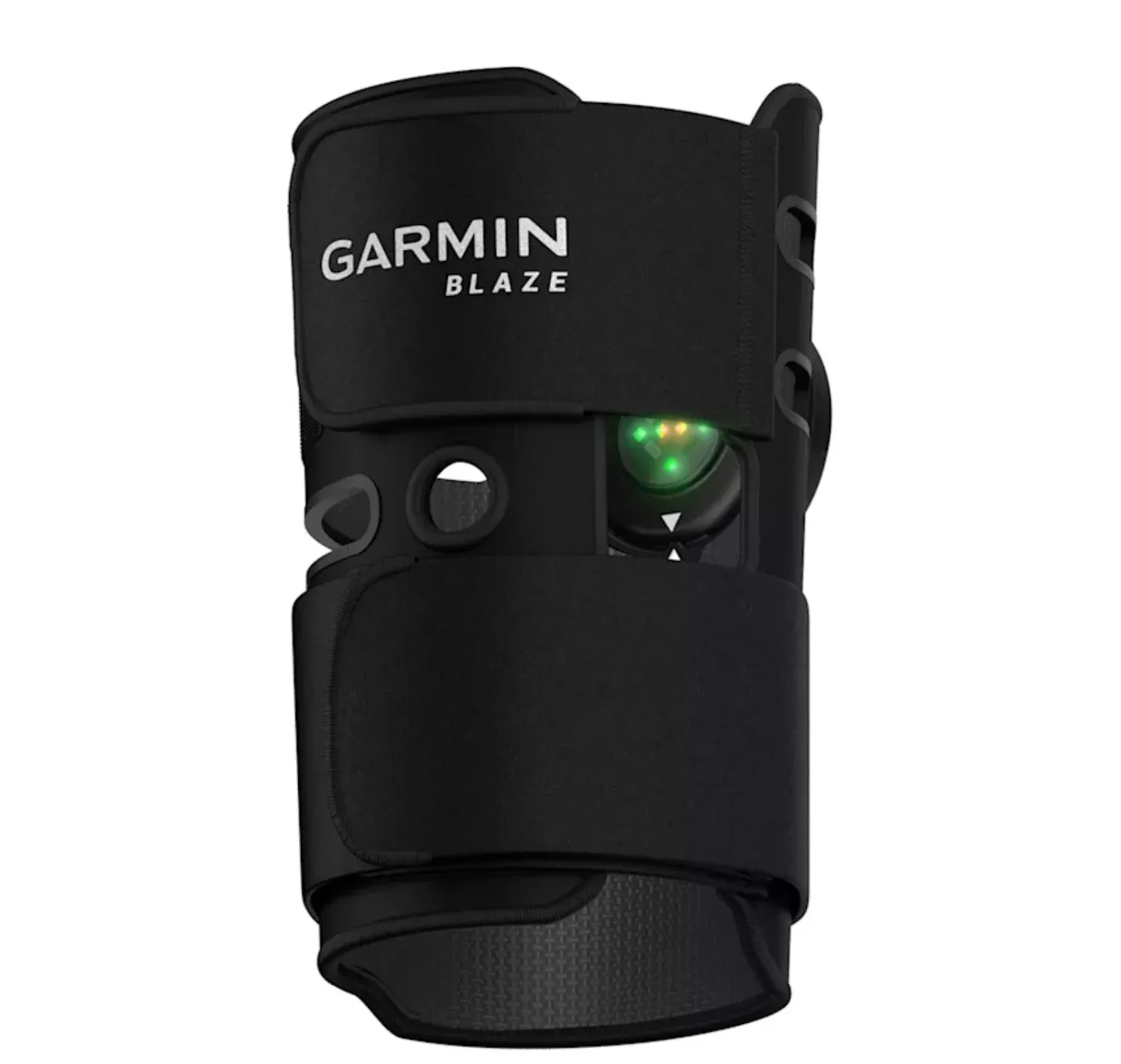 Garmin Blaze Equine Wellness System