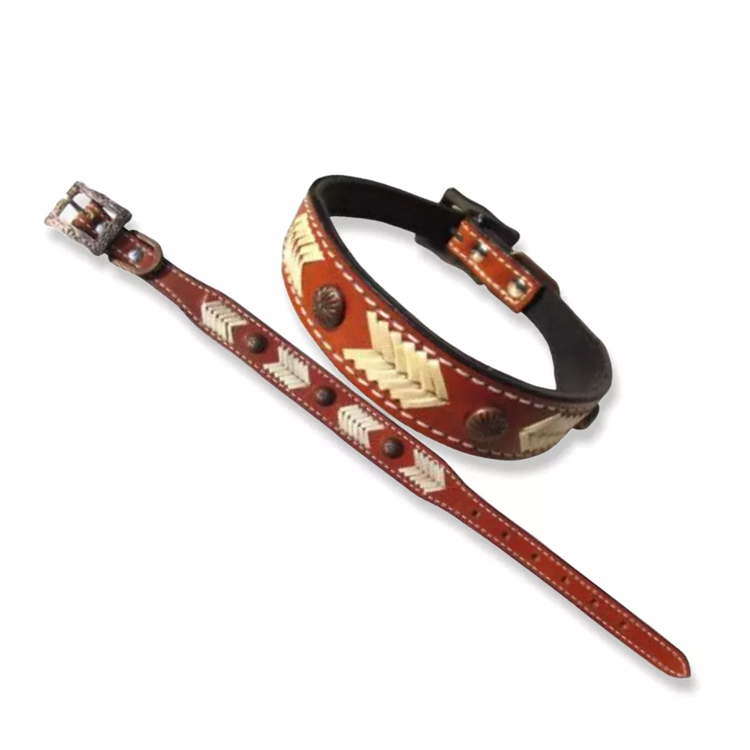 Genuine leather dog collar with natural rawhide lacing