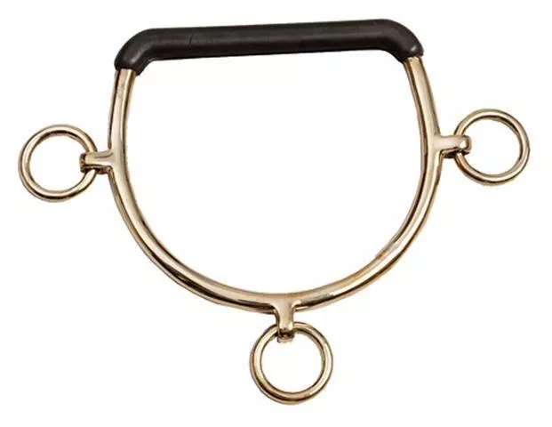 Gold Chifney Bit