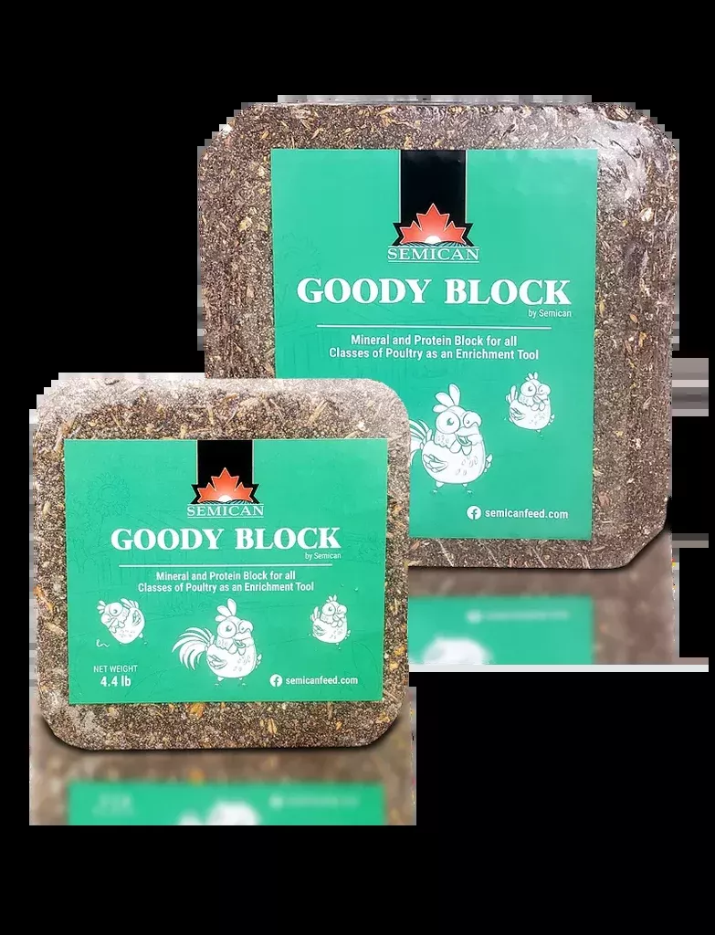 Goody Block