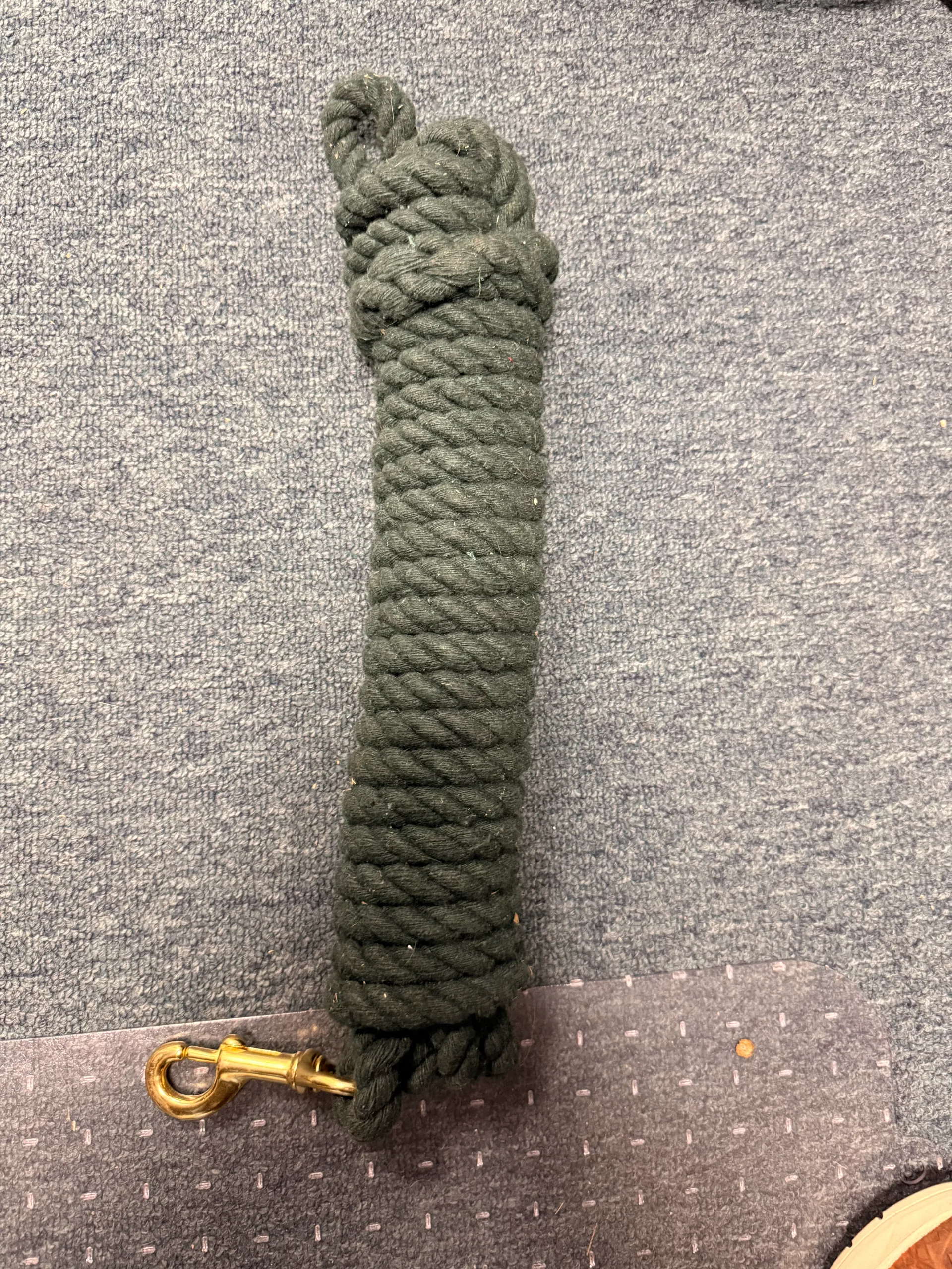 Green lead rope