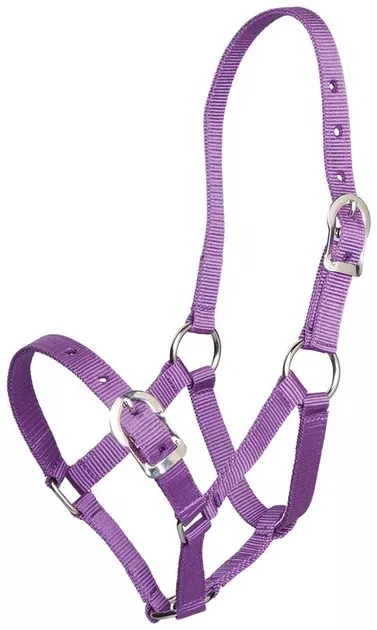 Gymkhana Headcollar Small Pony