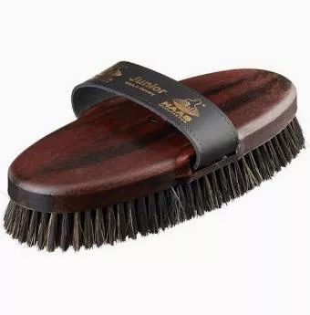 Haas Junior Horsehair Grooming Brush
