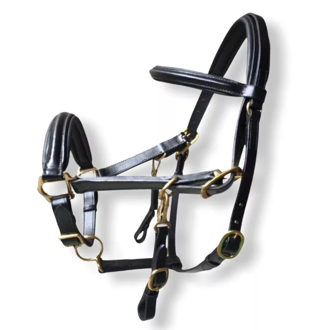 Halter Bridle and Reins Combo