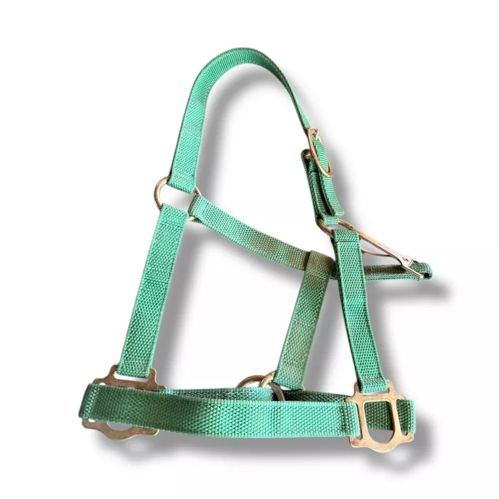 Halter cob