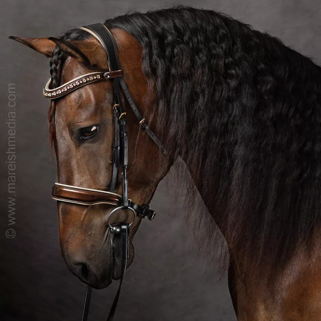 Halter Ego - The Champagne Black Leather Snaffle Bridle