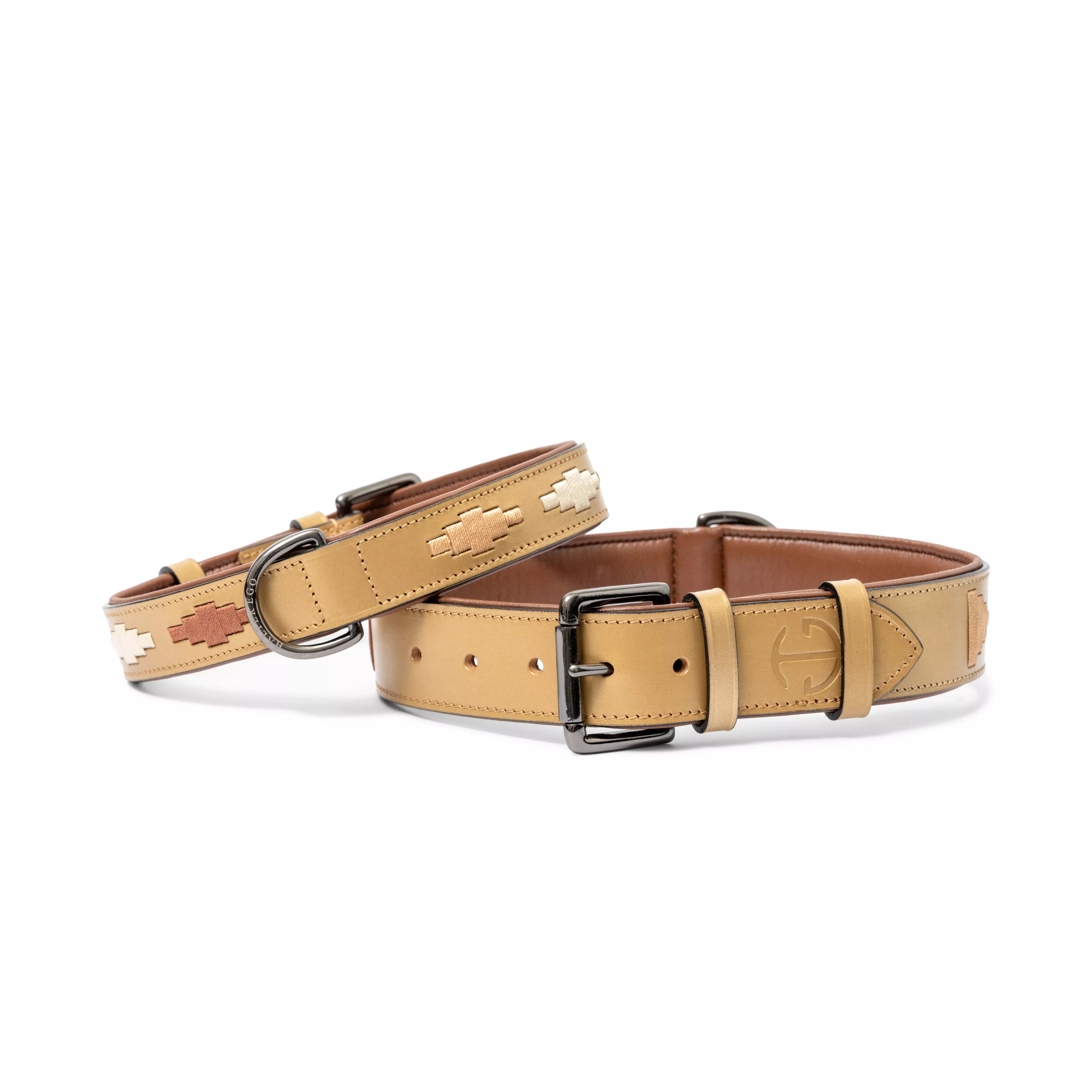 Halter Ego - Gilded Solstice Leather Dog Collar
