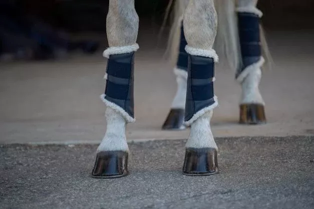 Harry's Horse Flextrainer Protection Boots Navy