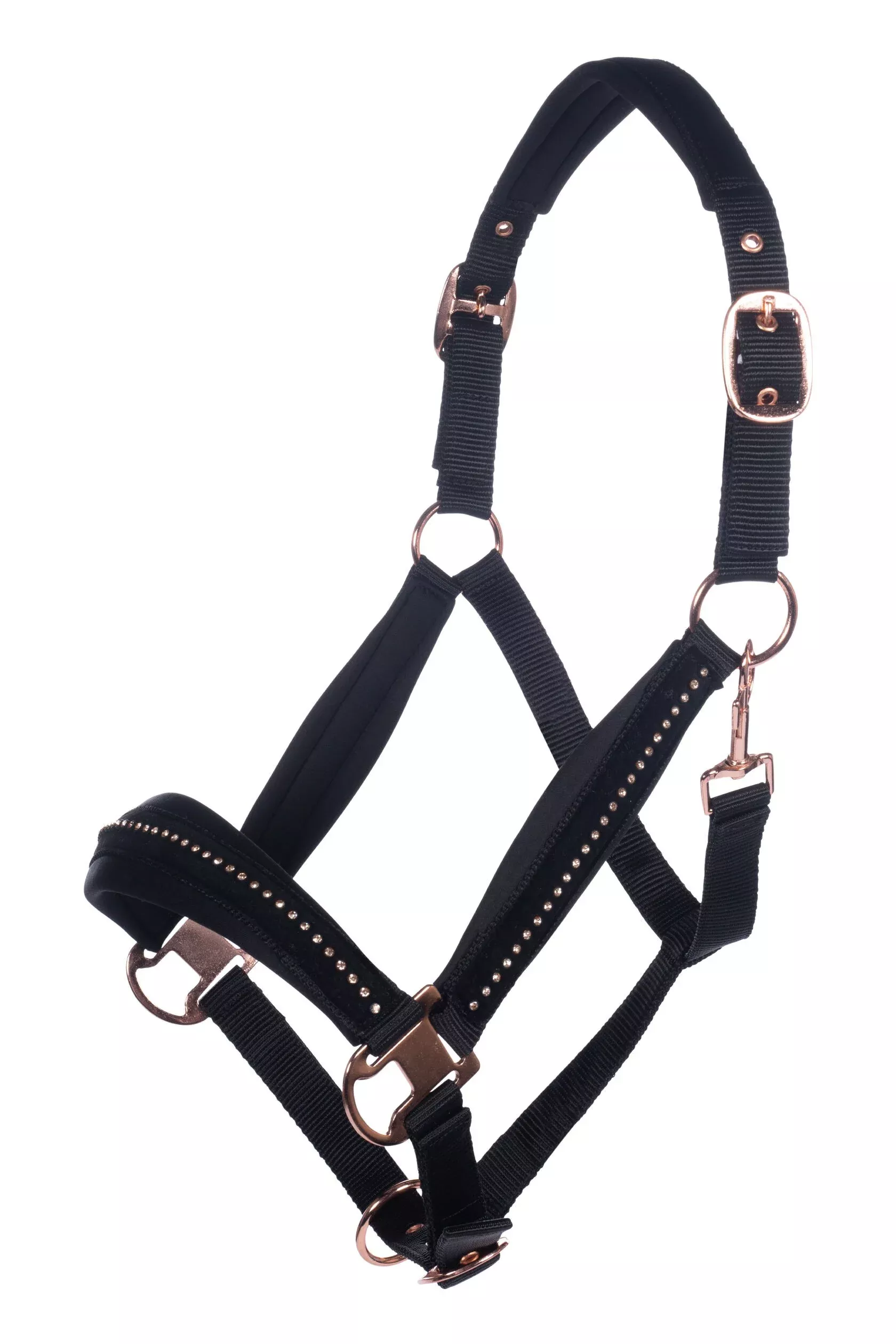 Head Collar Berry