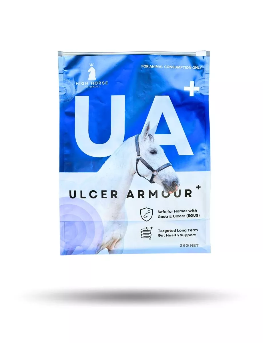 High Horse Ulcer Armour