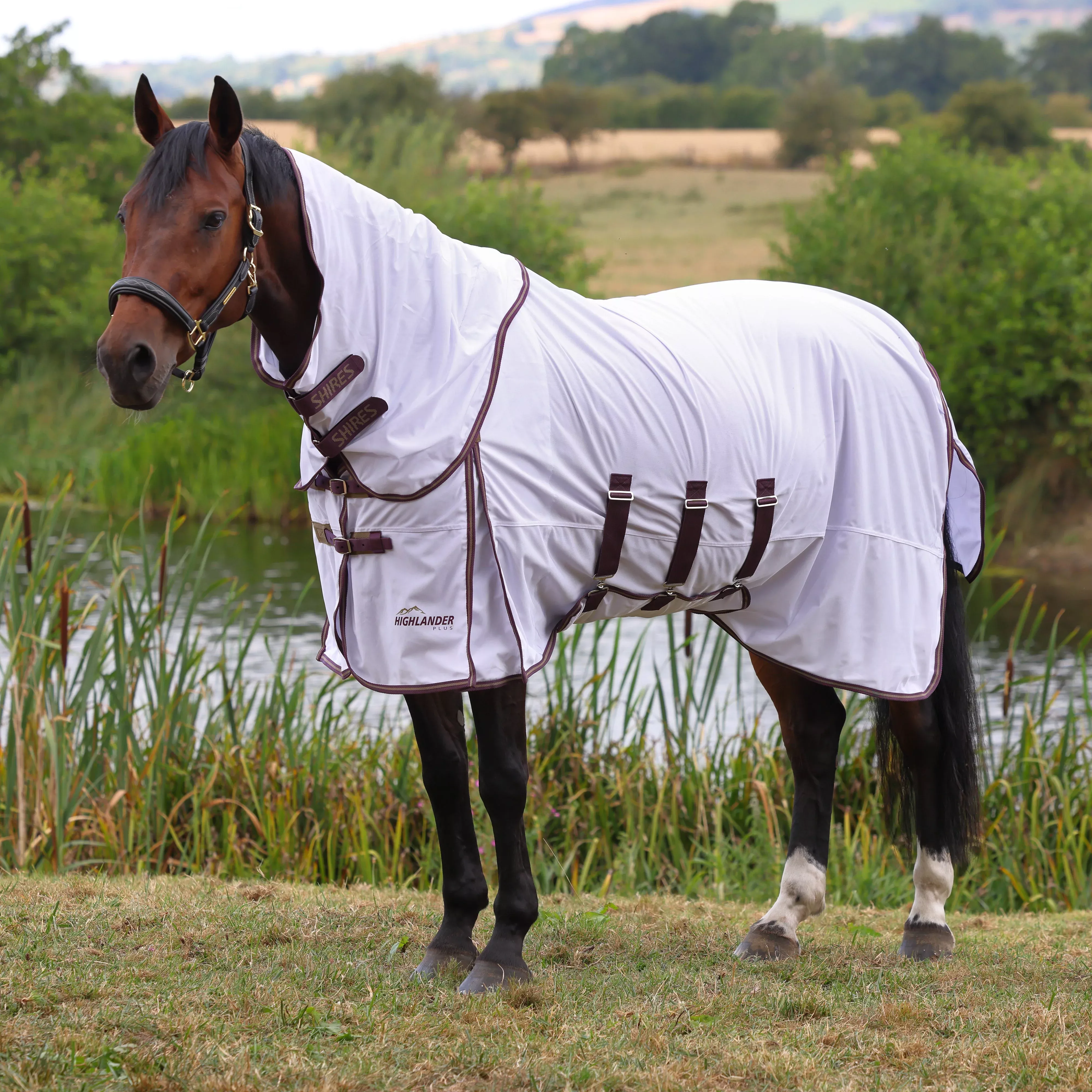 Highlander Plus Fly Sheet & Neck Set