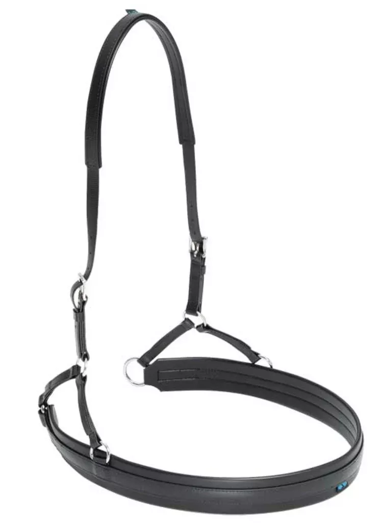Hip Strap Only