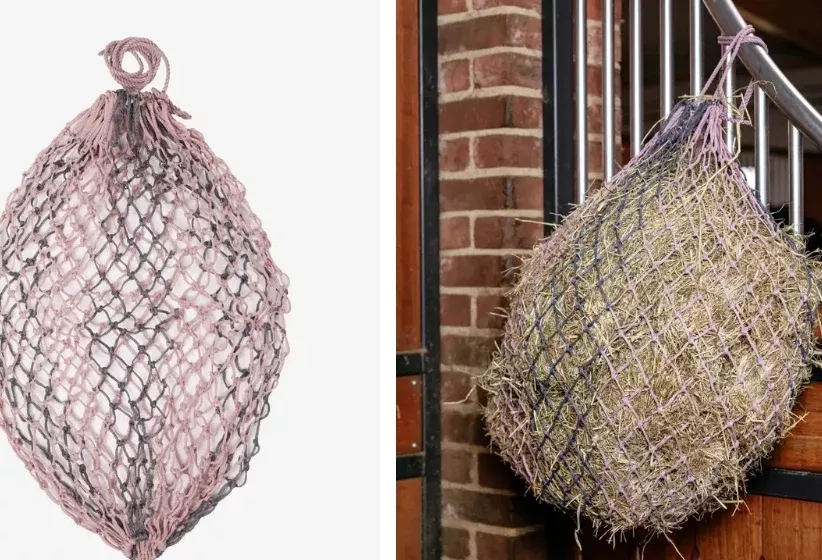 Hippo HayNet