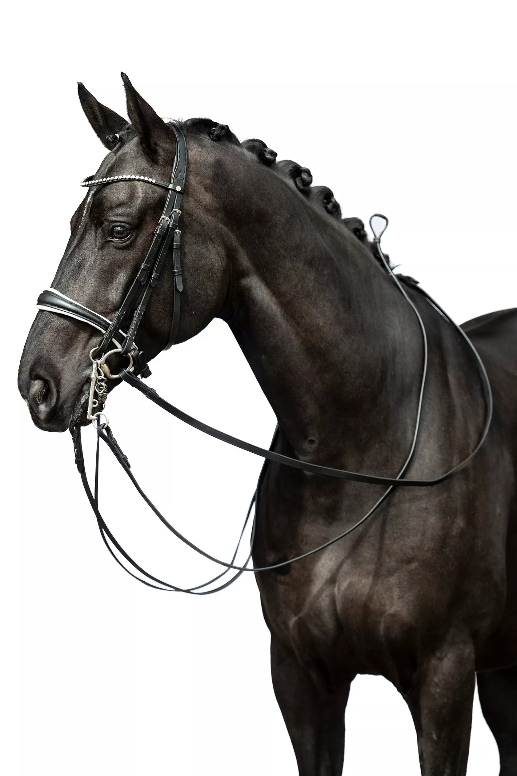 HKM Double Bridle Dina