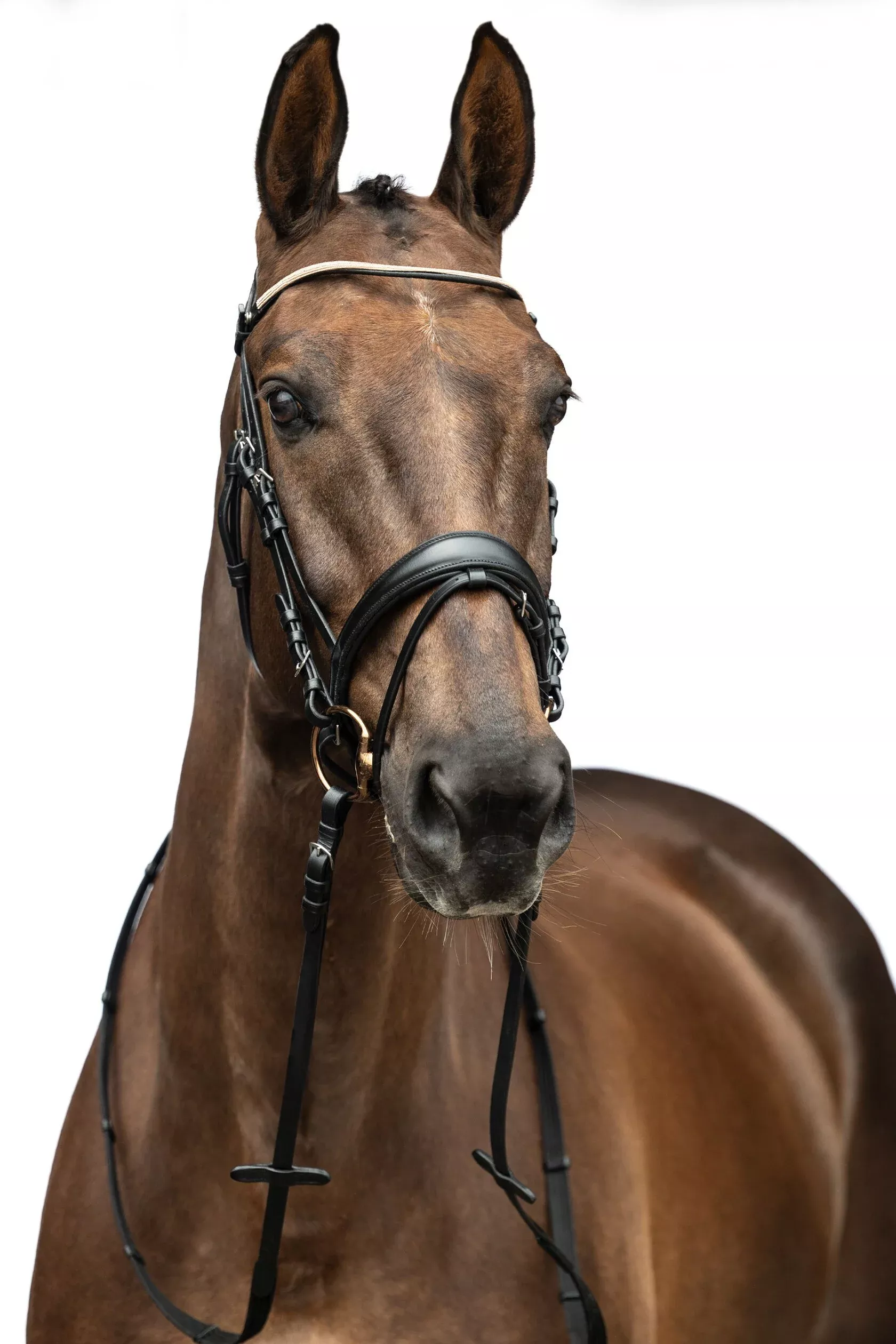 HKM Kopenhagen Bridle-Pony