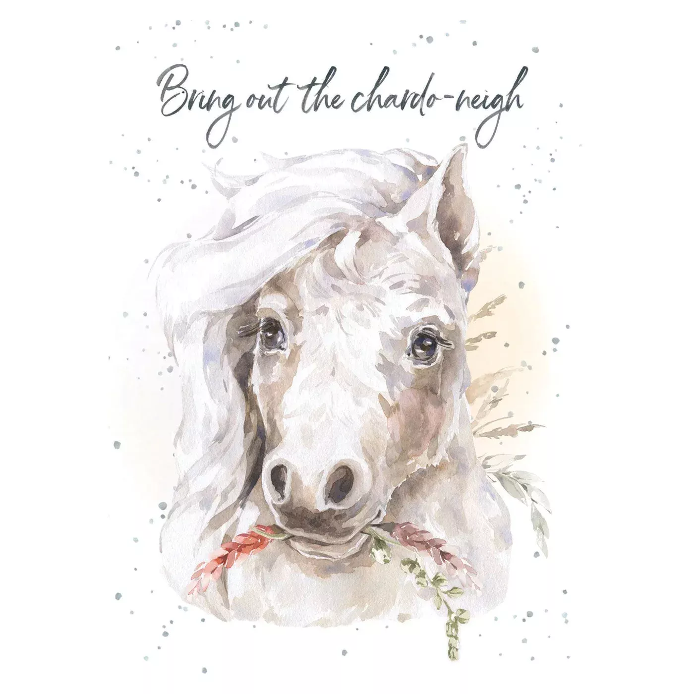 Hopper Studios Chardo-neigh Birthday Card
