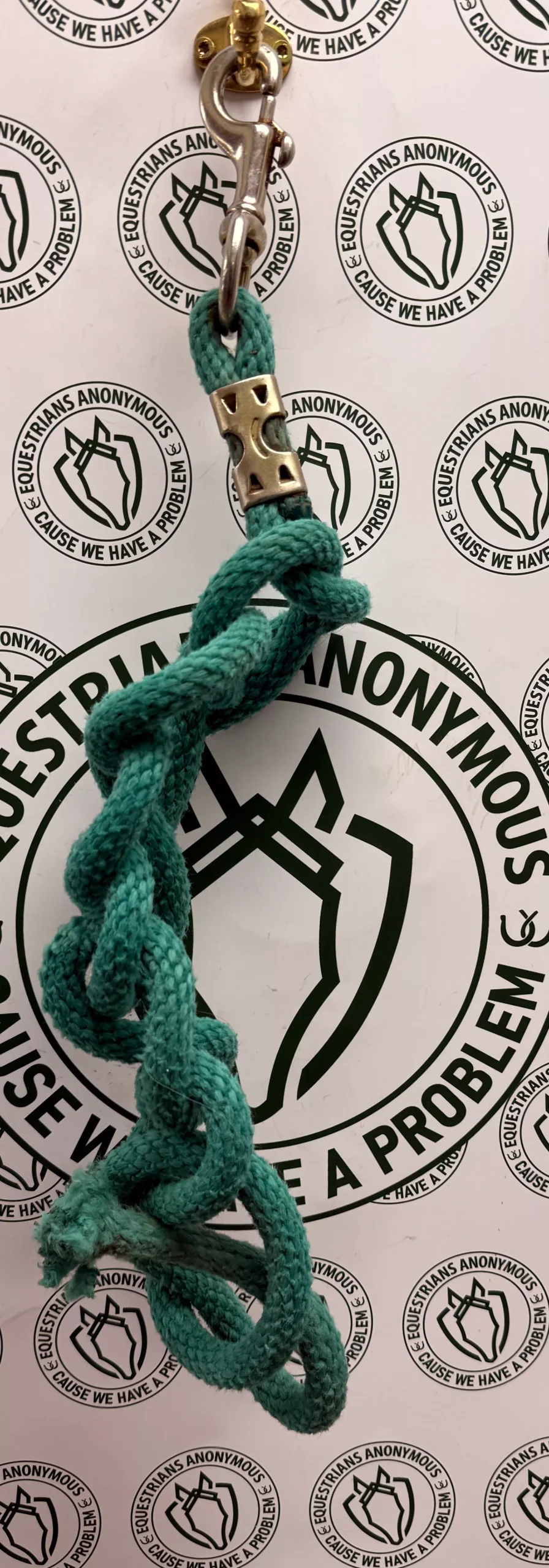 horse lead ropes w snaps