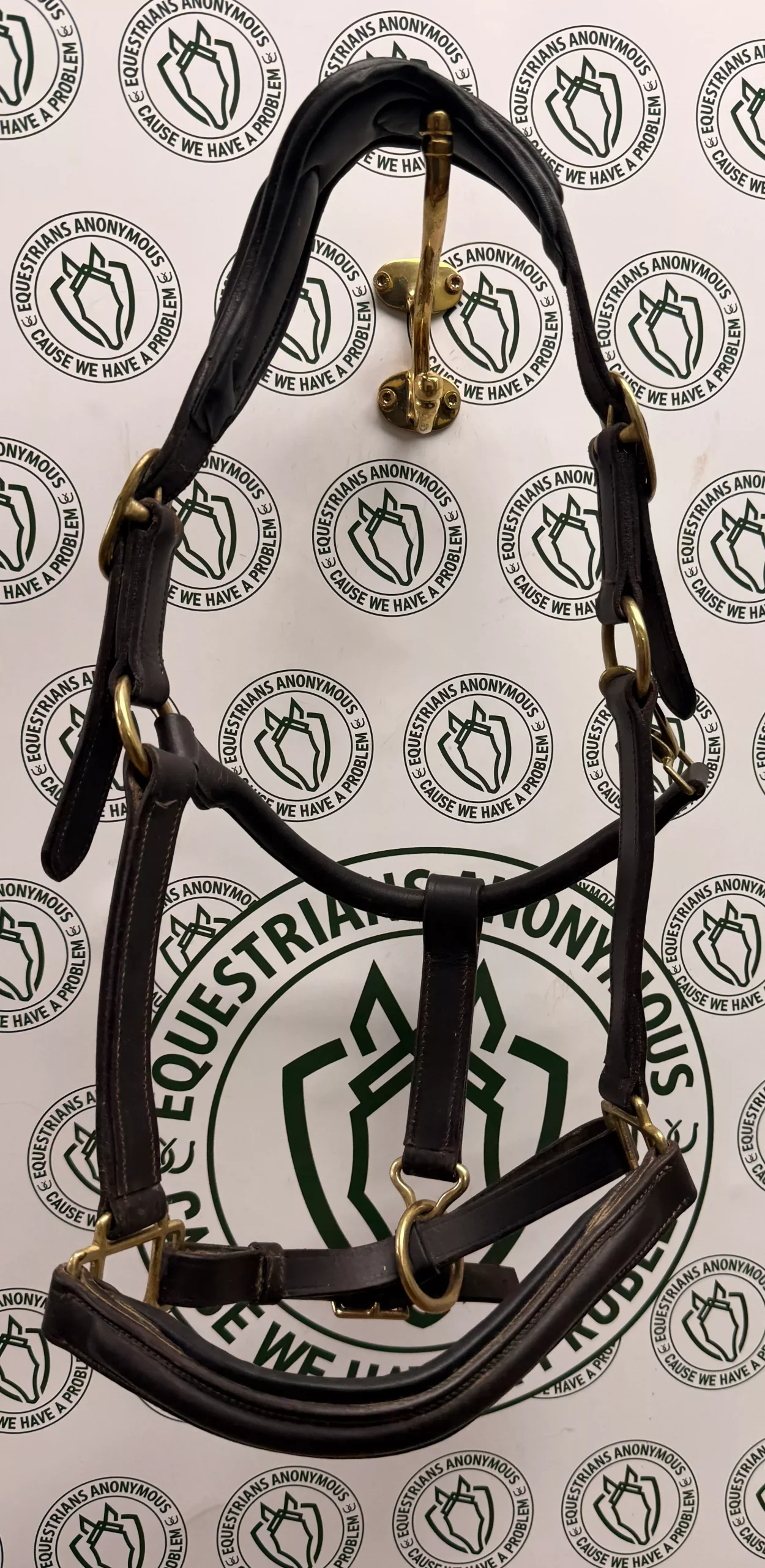 Horse leather halter padded Havana brown