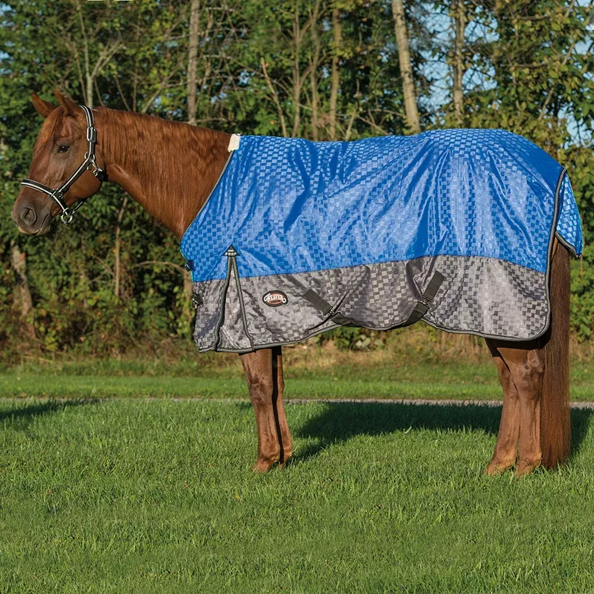 Horse Rain Sheet for Turnout, Lightweight, Mesh Lining, 600 Denier