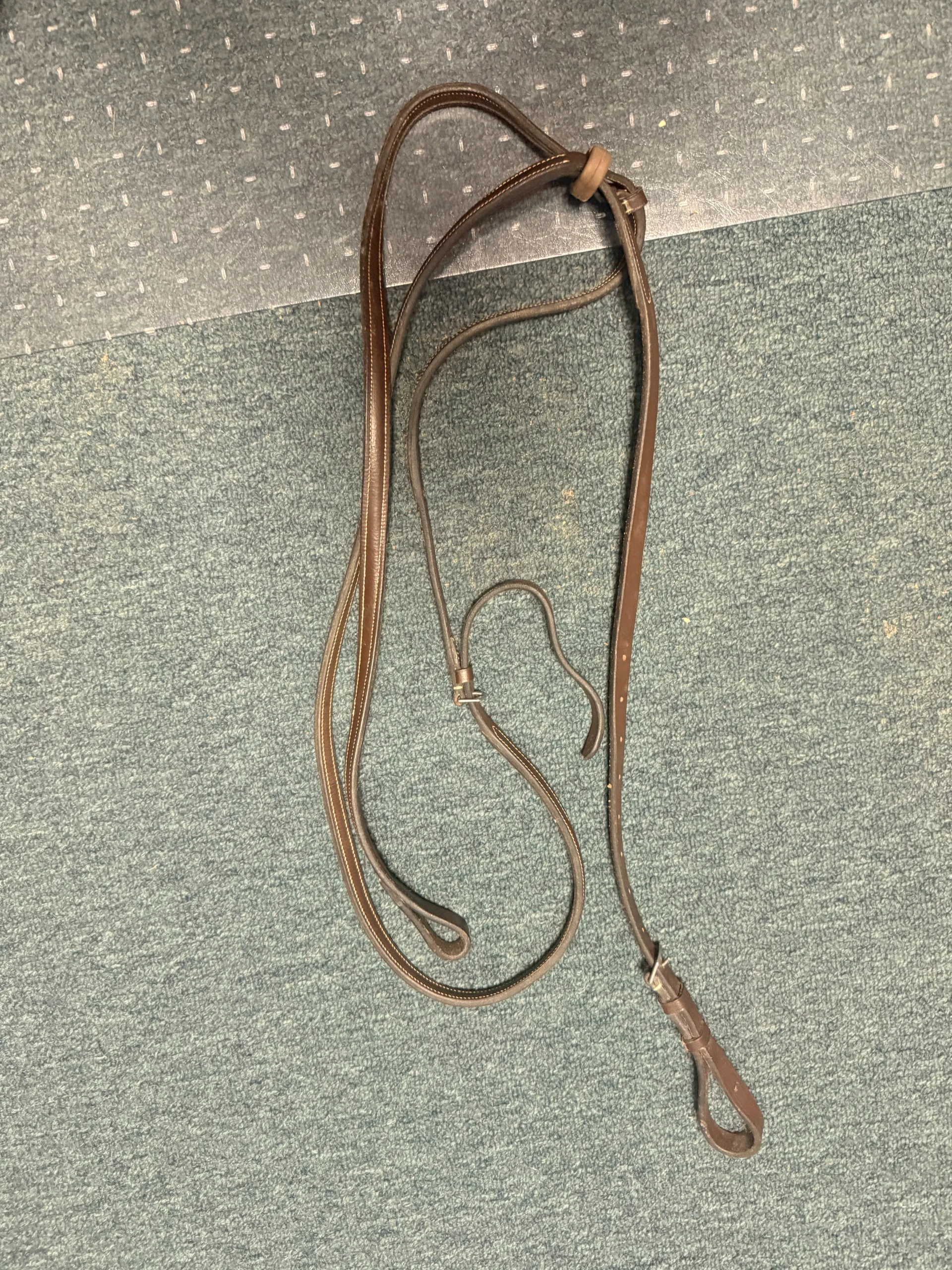 Horse Standing Martingale