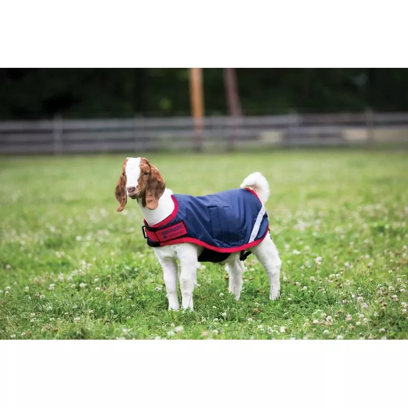 Horseware Goat Rug 100g – Navy/Red