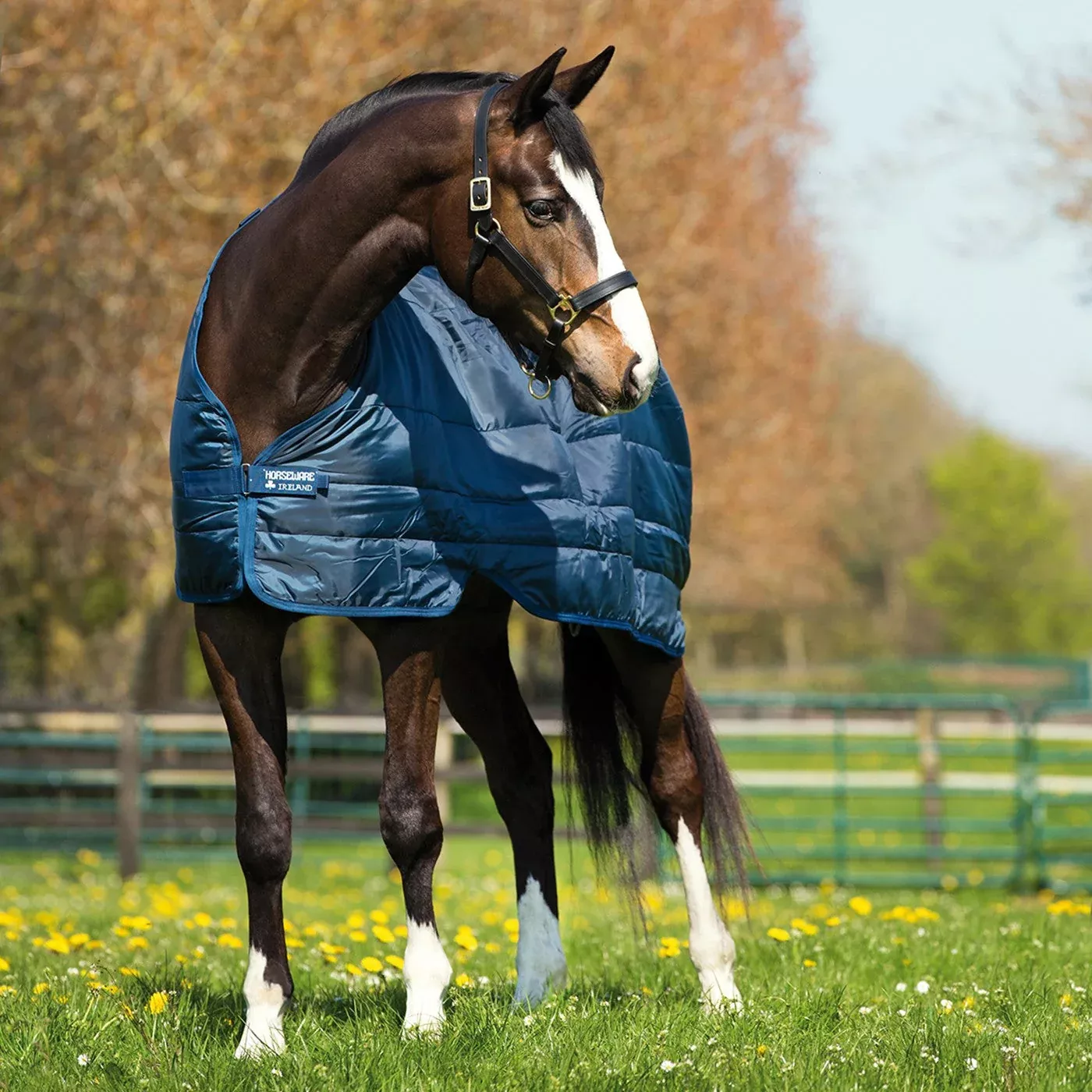 Horseware Liner 300 g