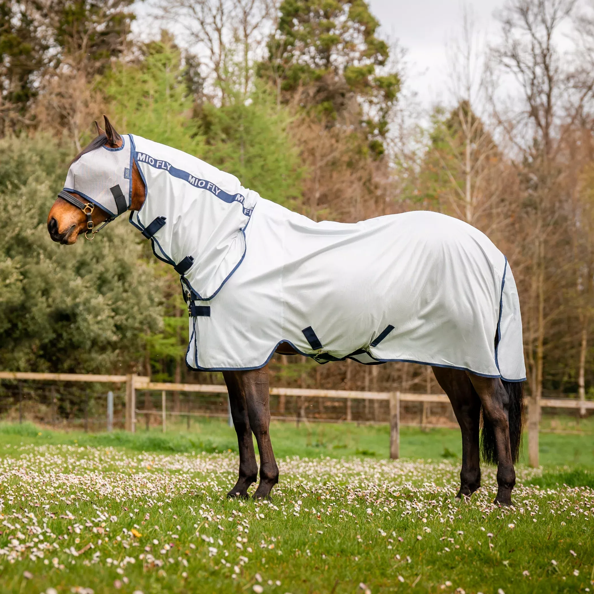 Horseware Mio Fly Rug
