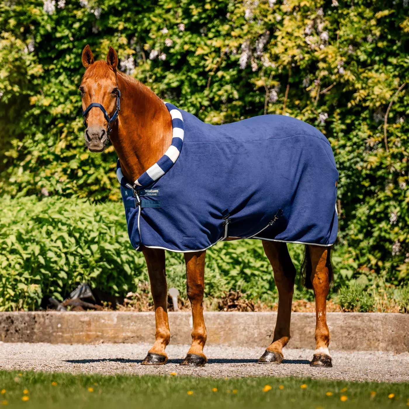 Horseware Newmarket Cozy Fleece Cooler