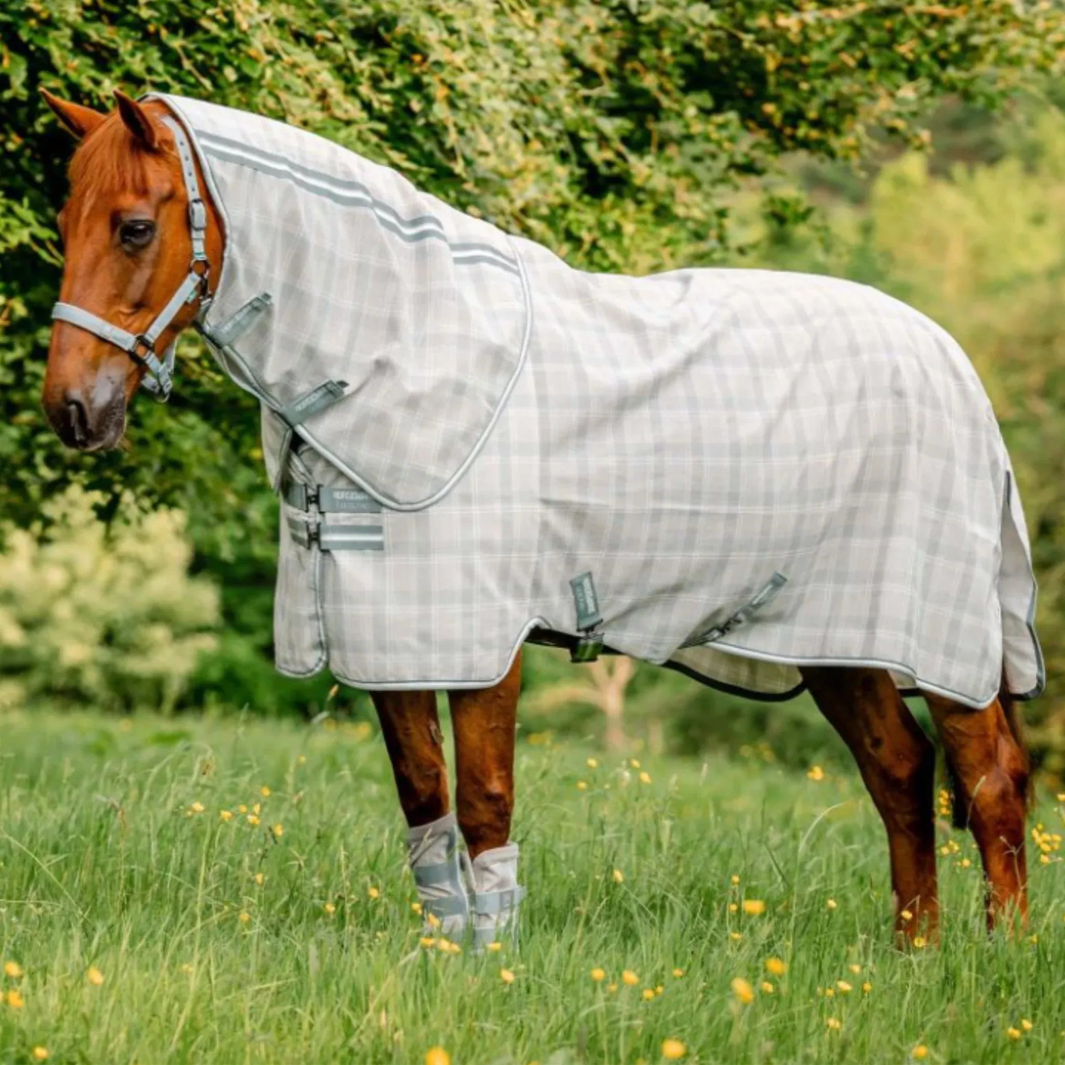 Horseware Newmarket Plus Fly Sheet Rug