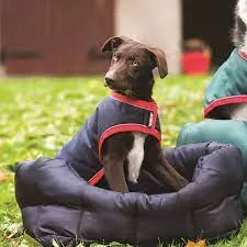 Horseware Rambo Waterproof Dog Rug 100g