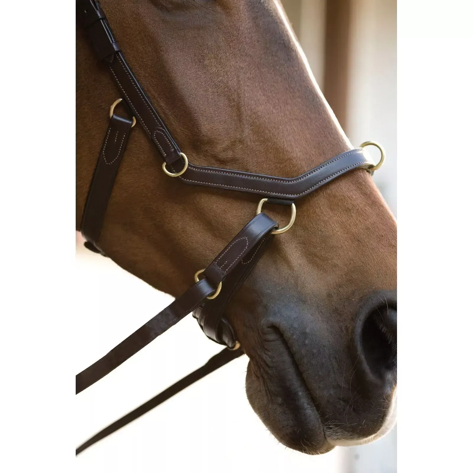 Horsewear Ireland - Rambo Micklem Original Multibridle