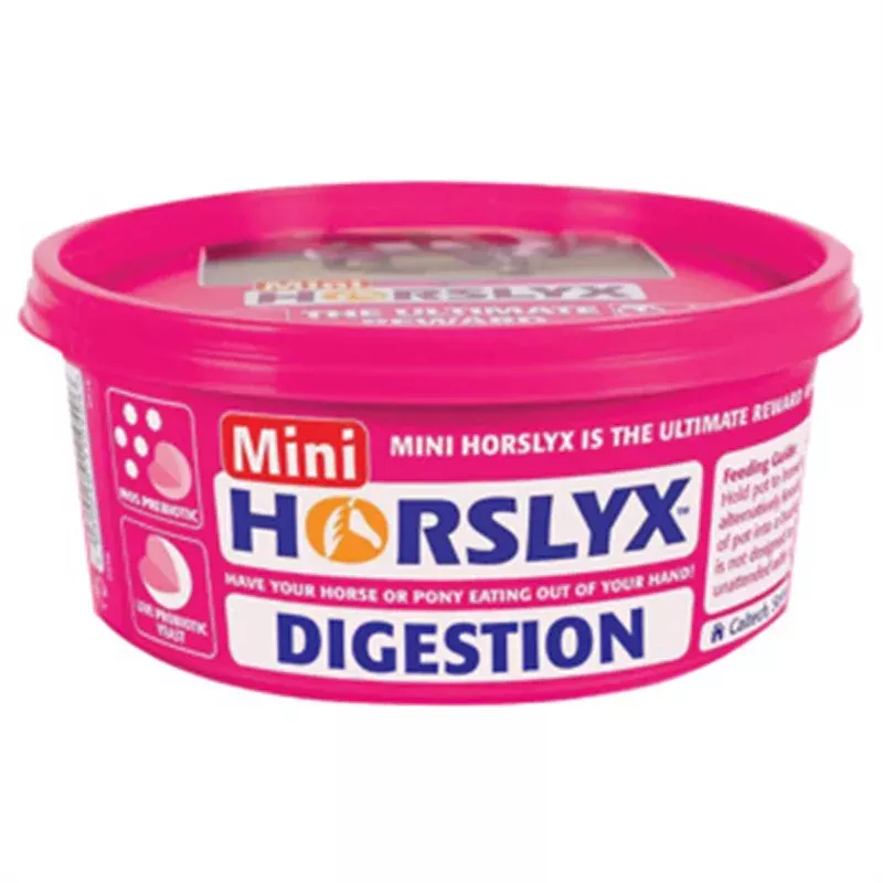 Horslyx Digestion Vitamin Mineral Lick