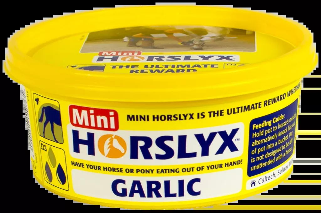 Horslyx Garlic Balancer