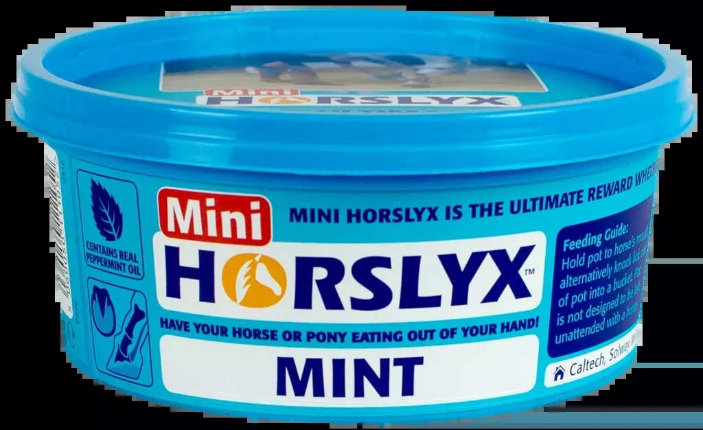 Horslyx Mint Balancer