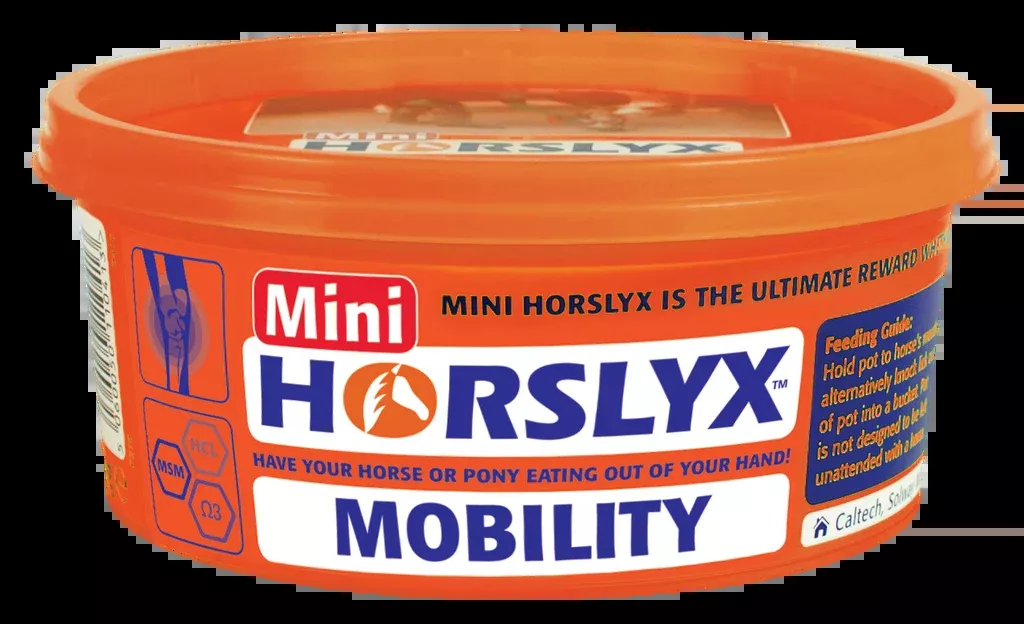 Horslyx Mobility Balancer