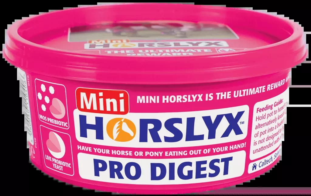 Horslyx Pro Digest Balancer