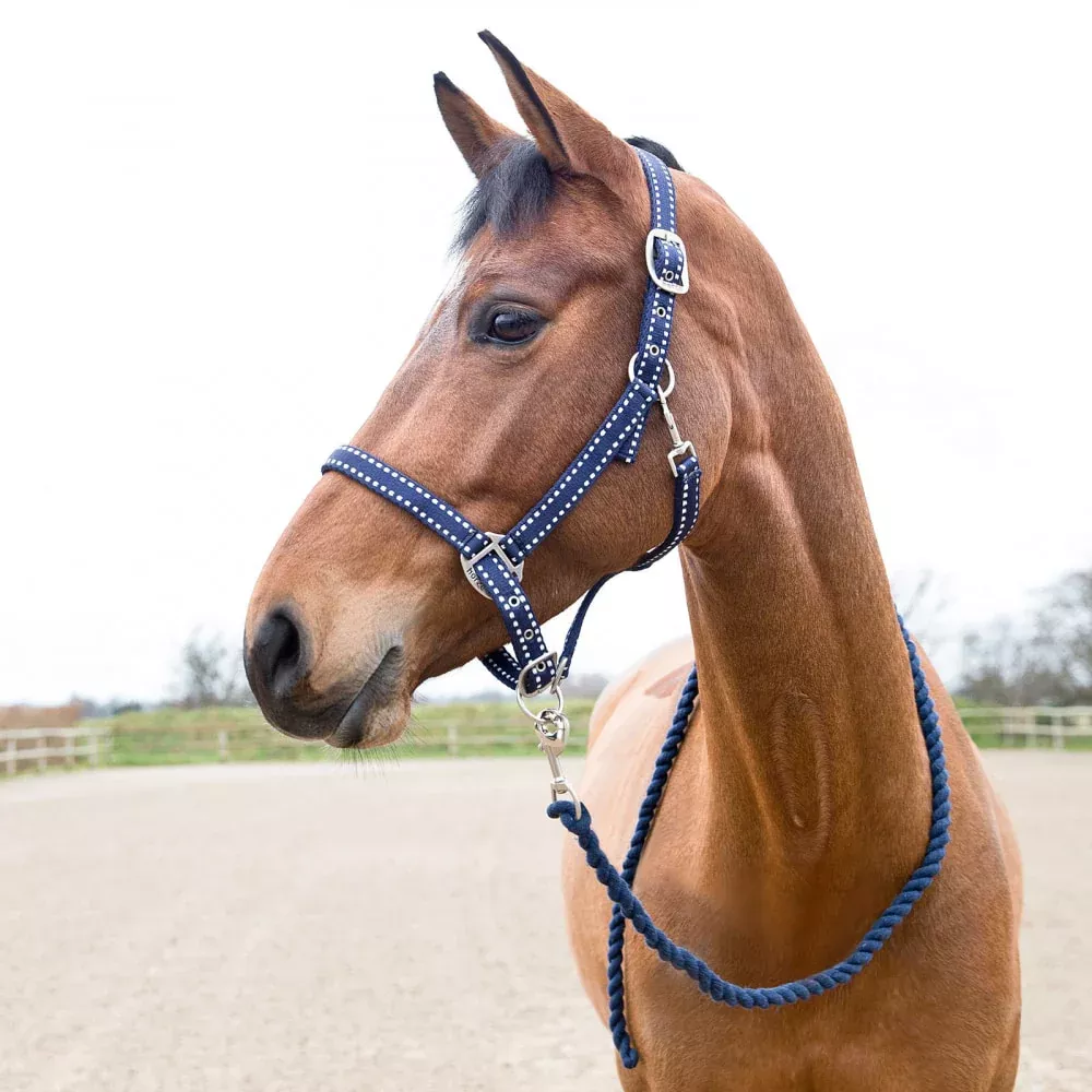 Horze Cooper Halter with Lead Rope - Peacoat Dark Blue