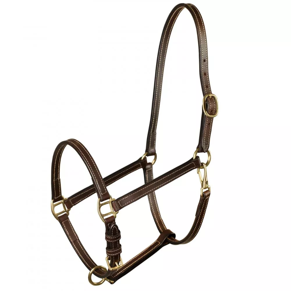 Horze Fremont Leather Horse Halter - Brown