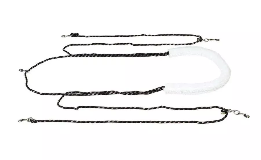 Horze Lunging Aid