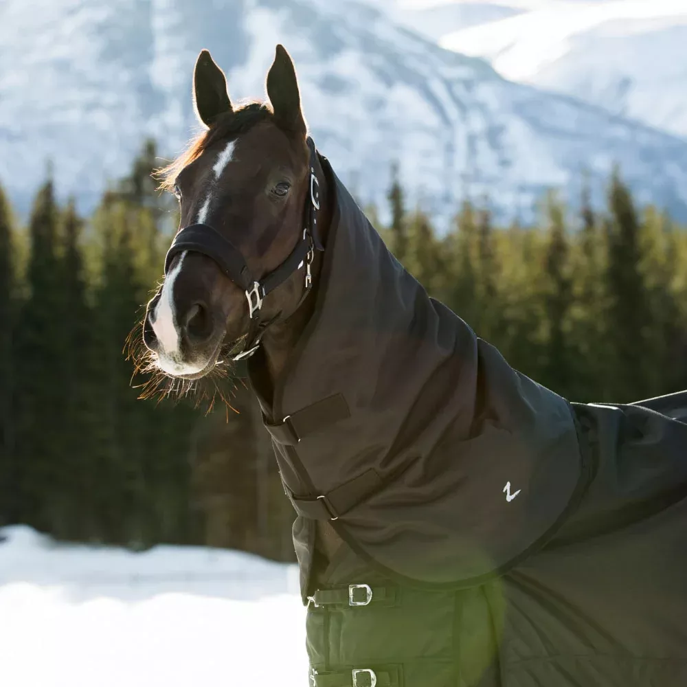Horze Nevada Turnout Neck Cover - Black