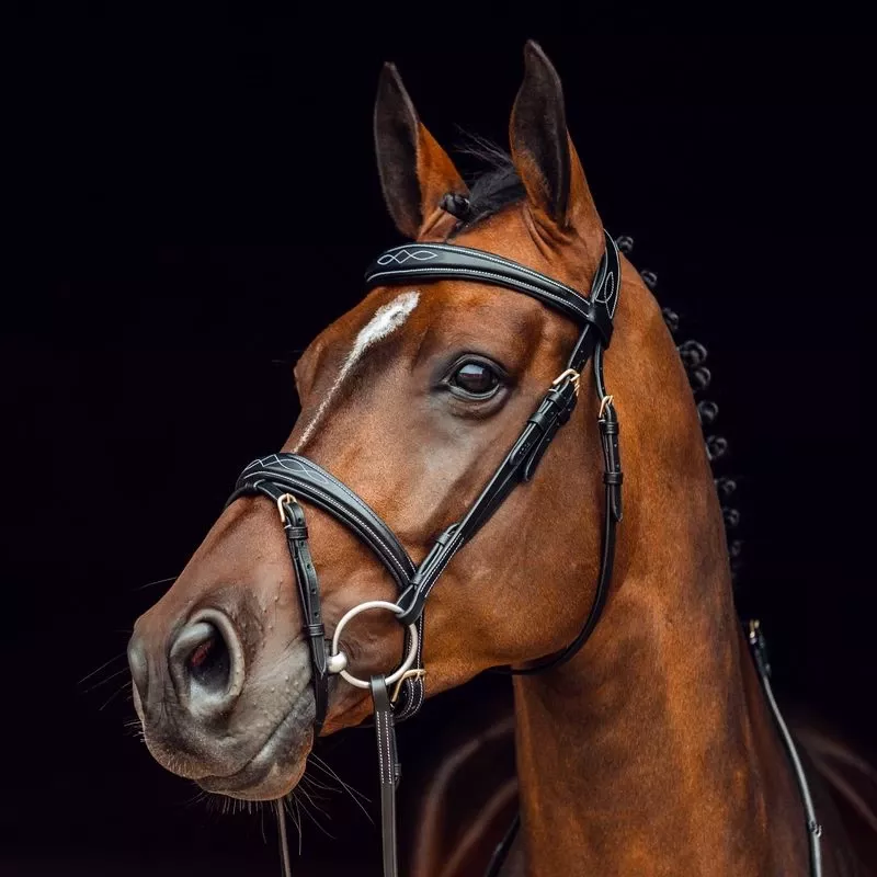 Horze Sion Bridle W/Reins – Black