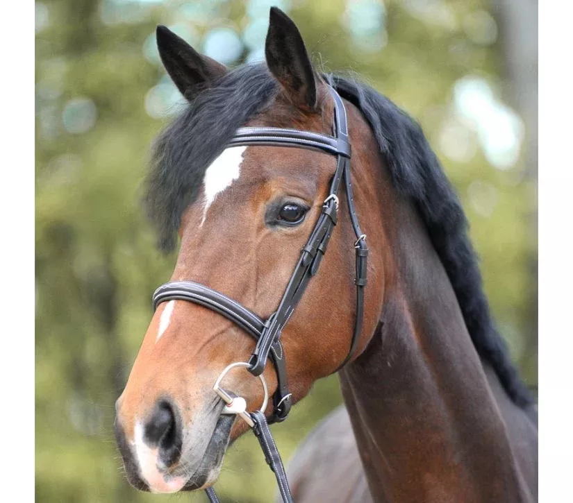 Hunter Bridle Akila