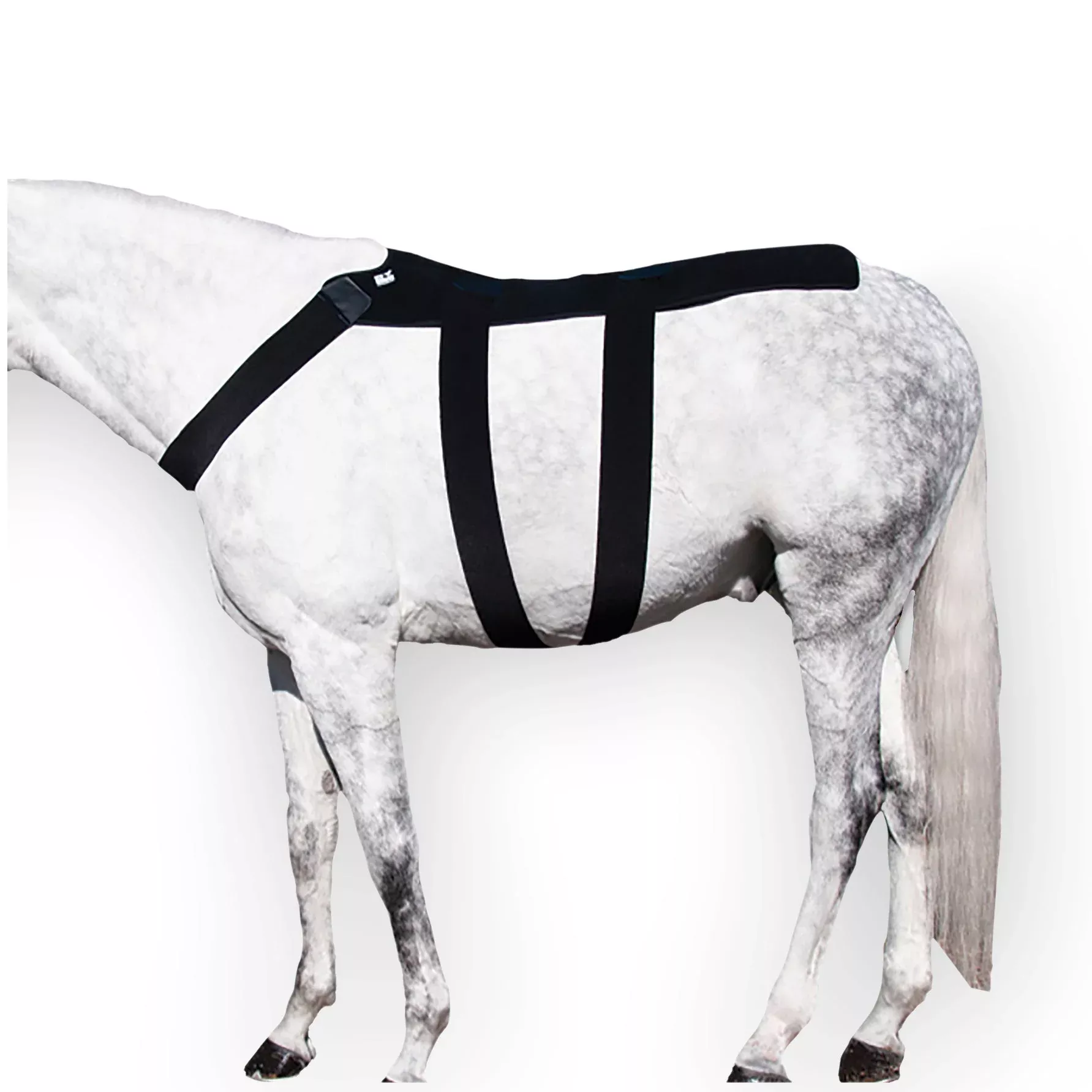 Ice Horse - Back Blanket