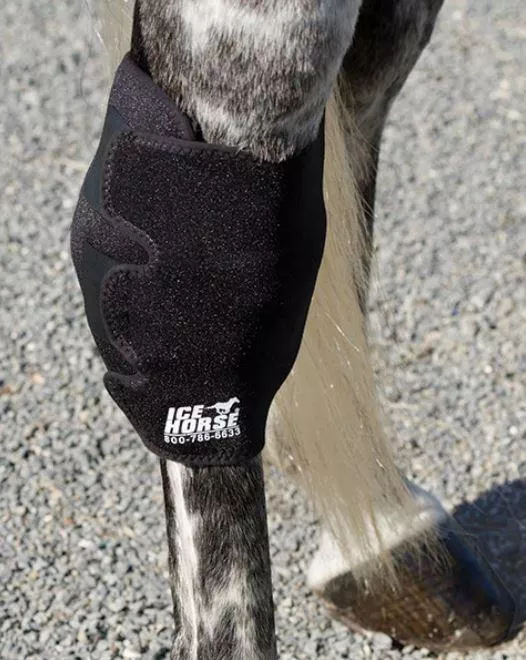 Ice Horse - Hock Wraps