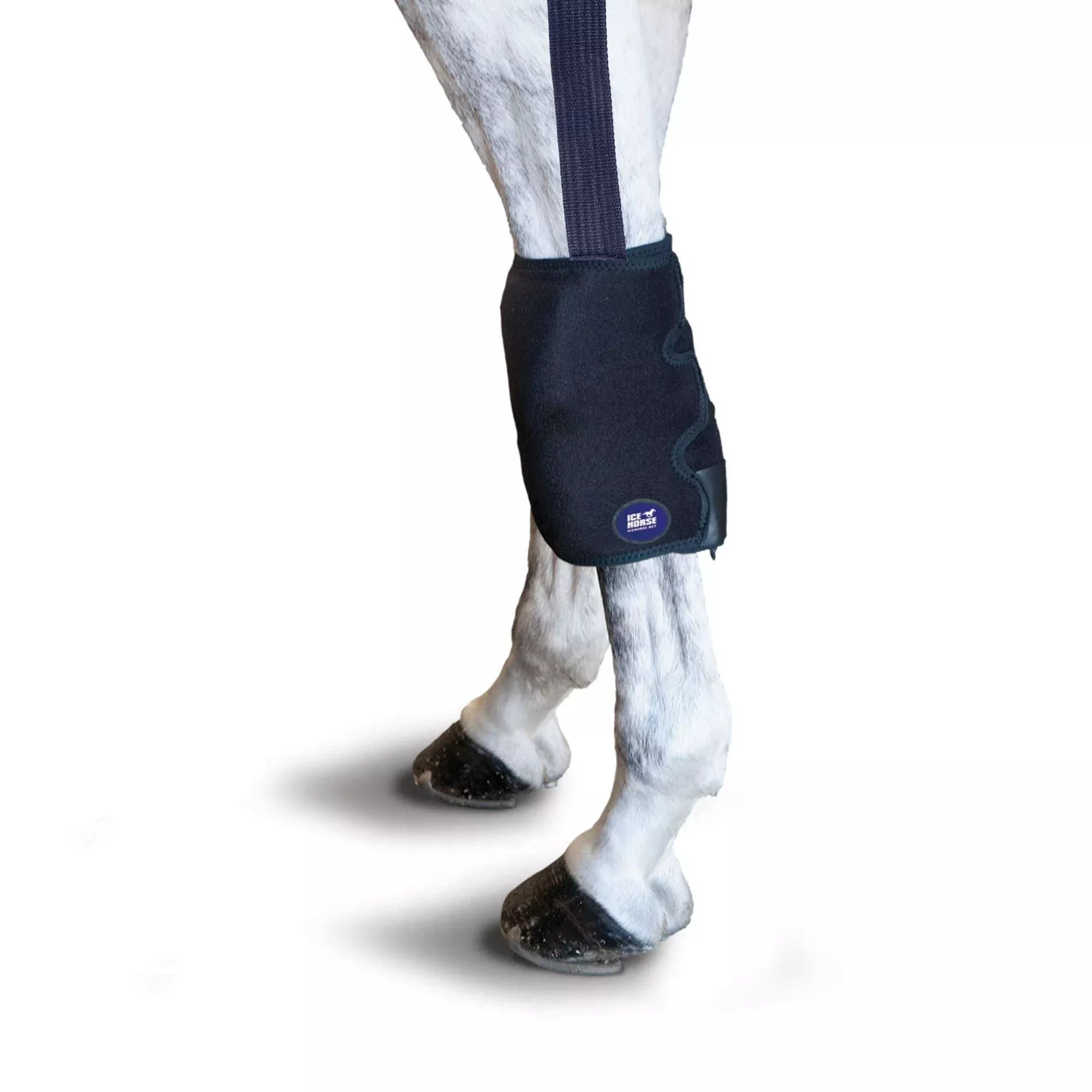 Ice Horse - Knee Wraps- With Anti-Migration Suspender