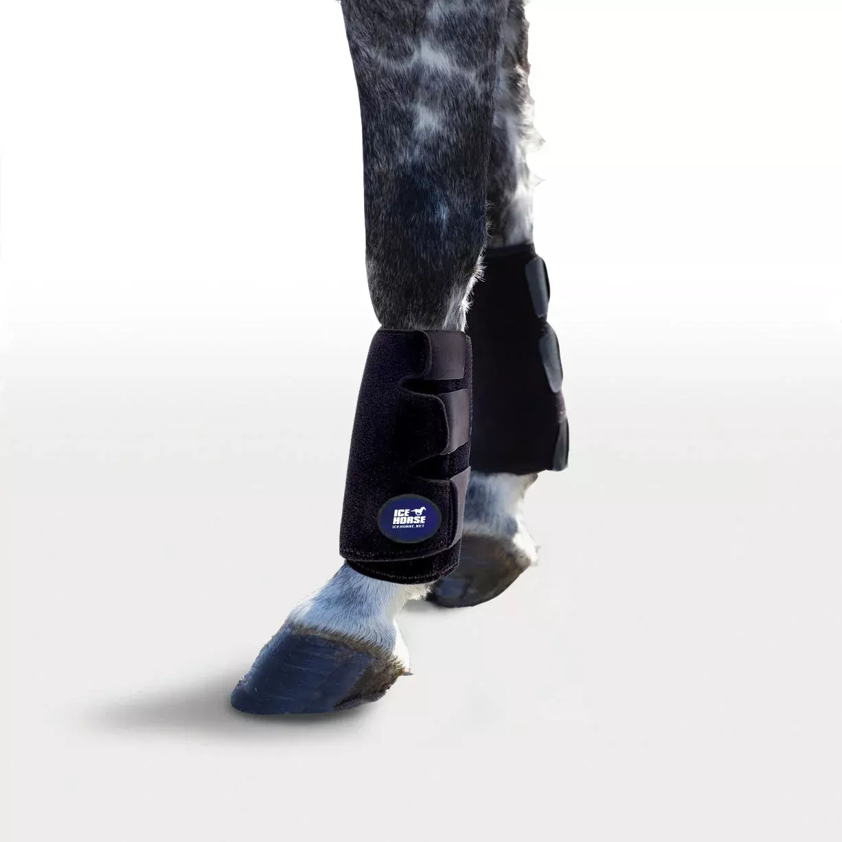 Ice Horse - Tendon Wraps