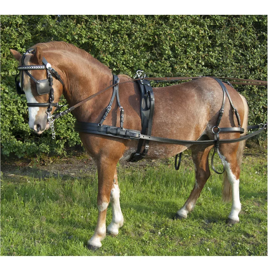 Ideal EcoLine Leather Harness - Single