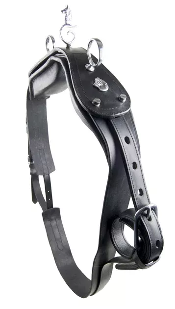 Ideal Equestrian Friesian Back Pad Leather Driving Saddle Complete