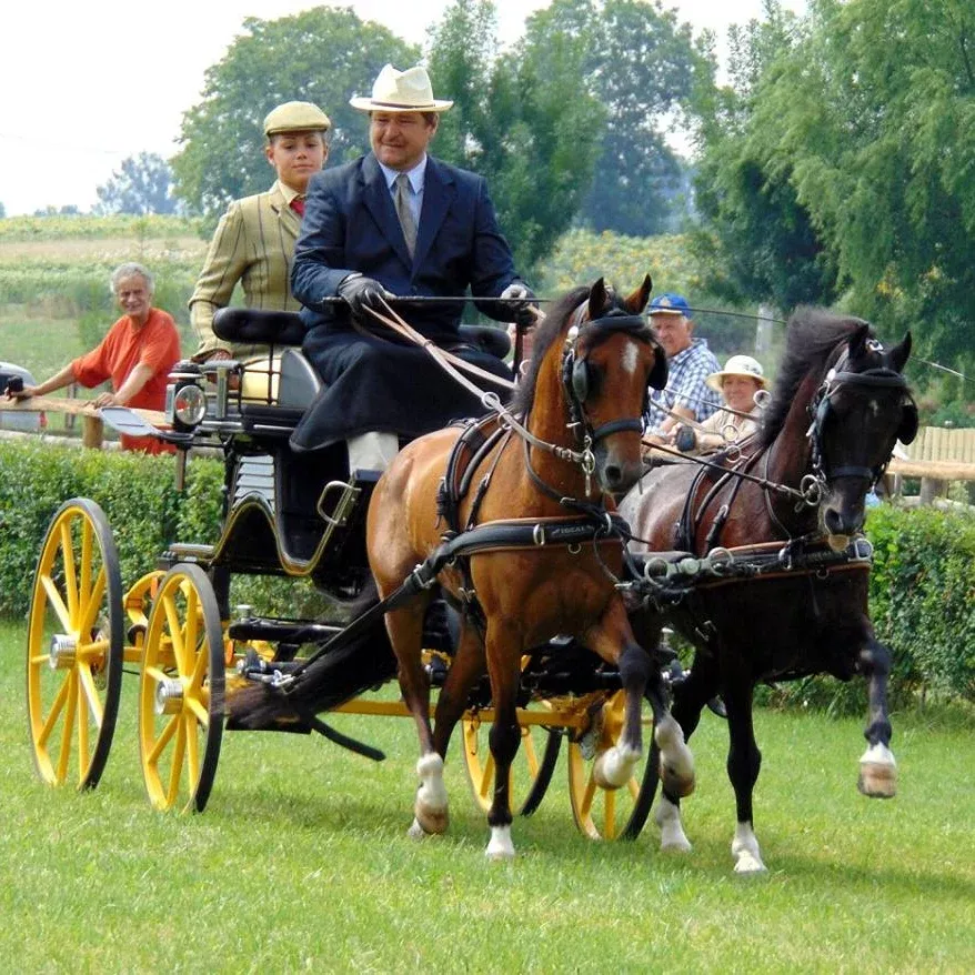 Ideal EuroTech Combination Synthetic Harness - Pair