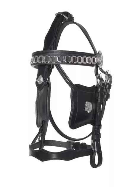 Ideal Friesian Driving Bridle